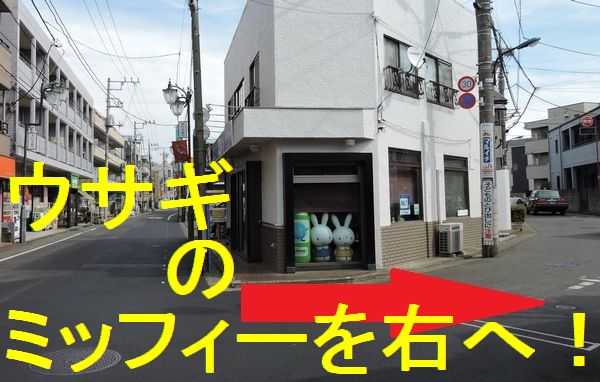 600 382 mifika x 2 right - →yajirusi.jpg